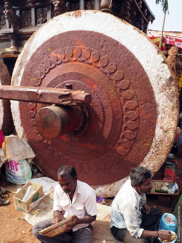 Хампи королевское