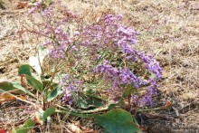 И снова Крым, и снова Керчь