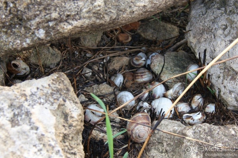 И снова Крым, и снова Керчь