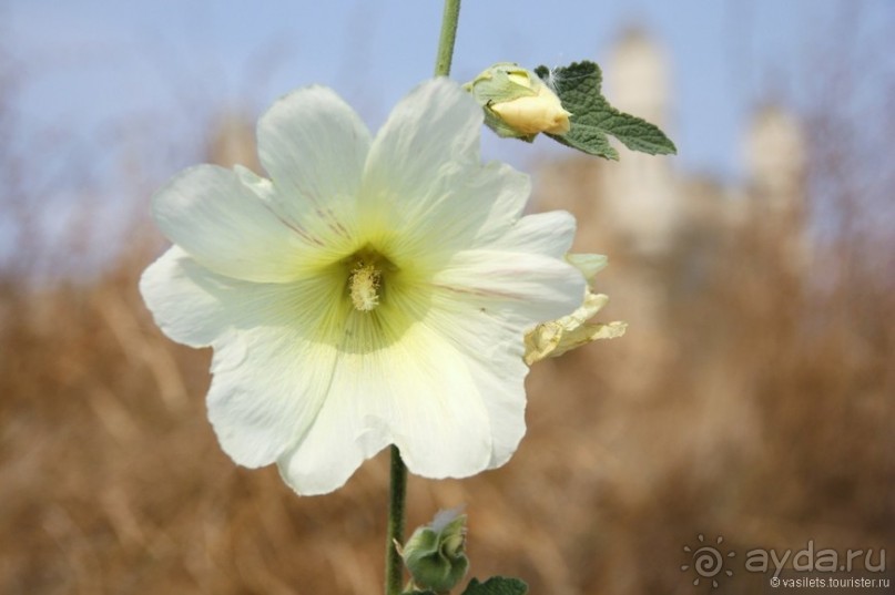 И снова Крым, и снова Керчь