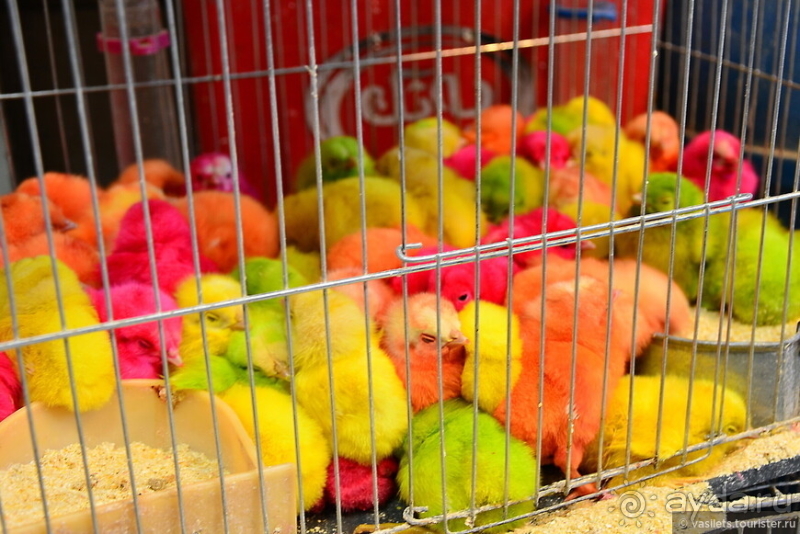 Чарующие будни персидских городов