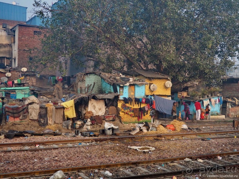 Золотой треугольник Индии на поездах и тук-туках
