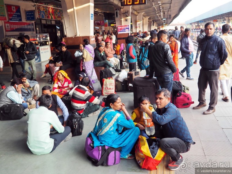 Золотой треугольник Индии на поездах и тук-туках