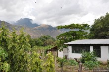 Гондурас в сердце каждого из нас