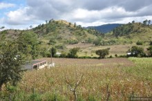 Гондурас в сердце каждого из нас