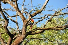 Гондурас в сердце каждого из нас