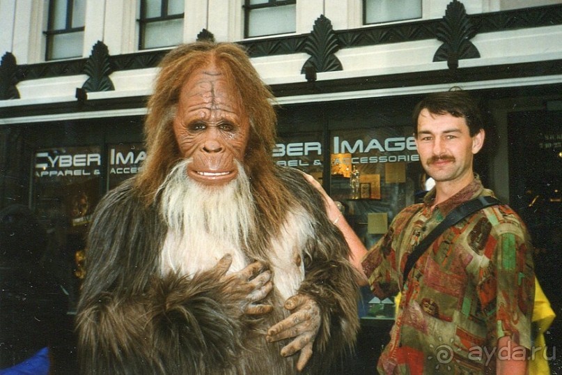 Америка, Америка...