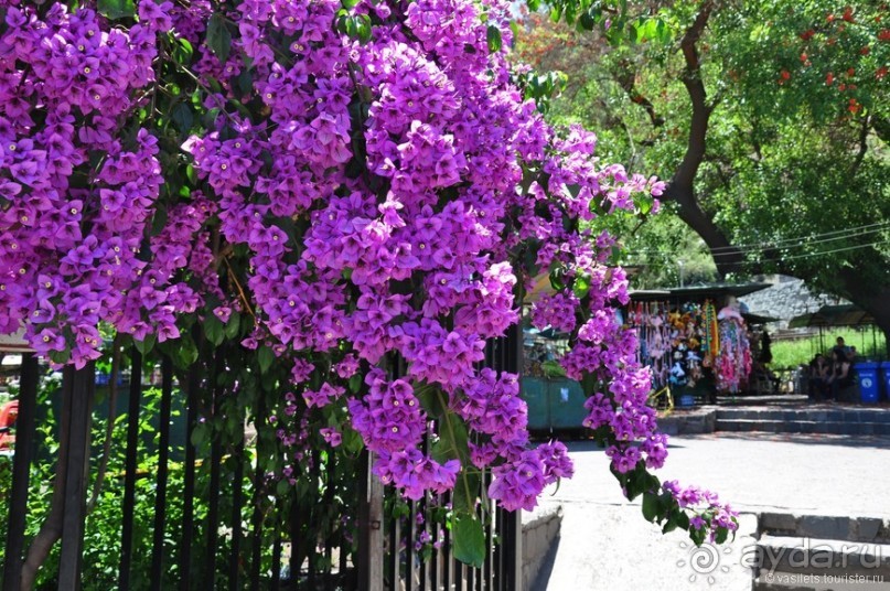 фото острова Пасхи