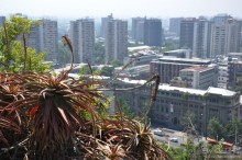 Альбом отзыва "Благополучный Сантьяго"