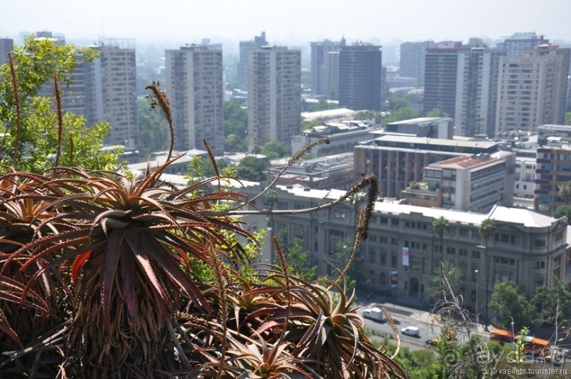 Альбом отзыва "Благополучный Сантьяго"