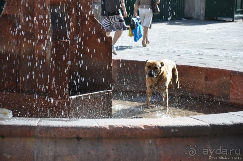 Благополучный Сантьяго