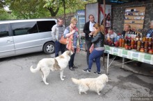 Гюмри, Гарни, Гегард — армянские итоги.