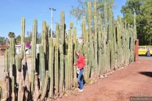 Ненужные подробности о Латинской Америке