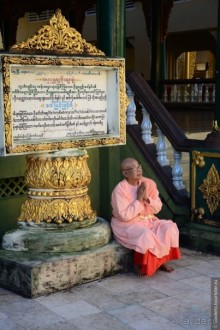 Голден Рок — это круто!