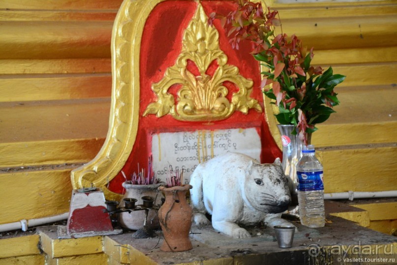 Голден Рок — это круто!