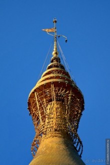 Голден Рок — это круто!