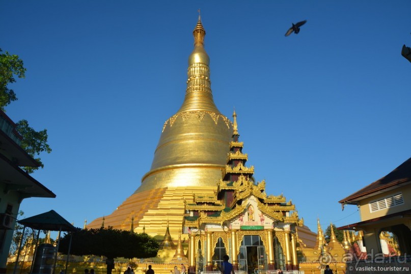 Голден Рок — это круто!