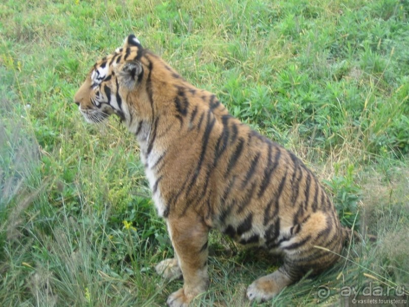 Китай - империя в тумане 2