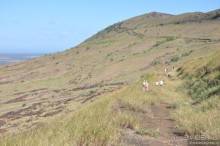 Никарагуа-Манагуа-Гранада