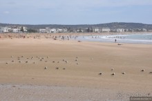 Козы-верхолазы и синяя Эссуэйра