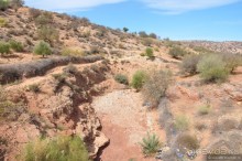 Козы-верхолазы и синяя Эссуэйра