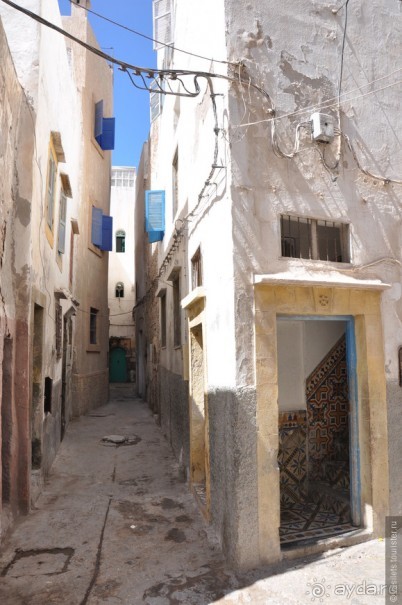 Козы-верхолазы и синяя Эссуэйра