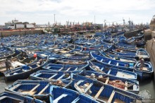 Козы-верхолазы и синяя Эссуэйра