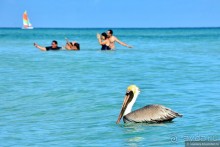 Куба. Мартовский пир во время чумы