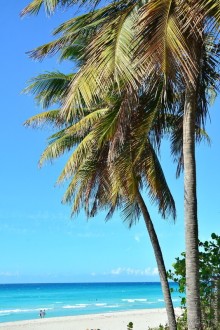 Куба. Мартовский пир во время чумы