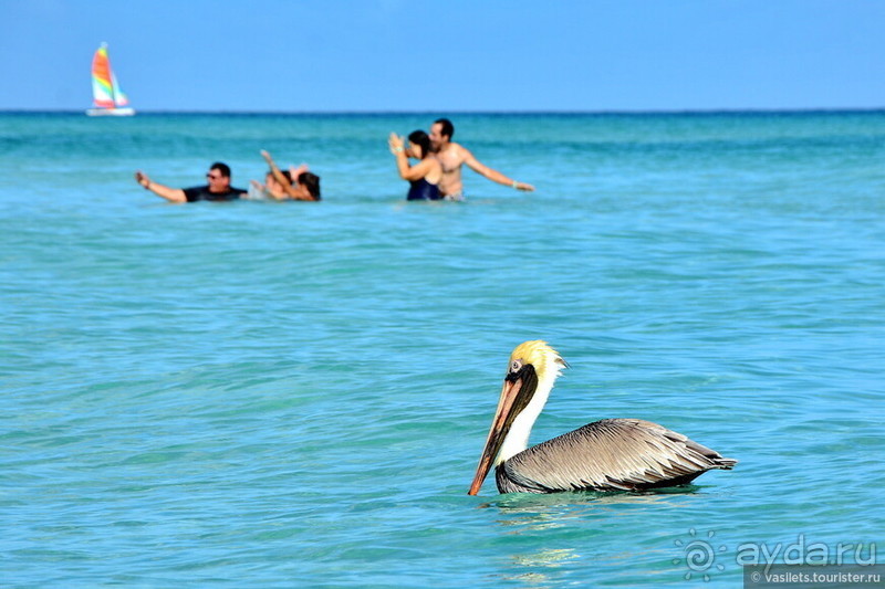 Куба. Мартовский пир во время чумы