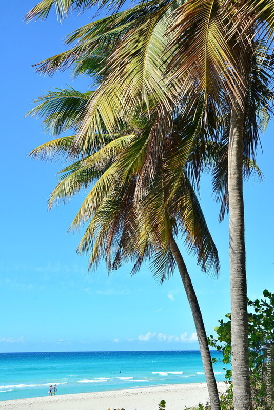 Куба. Мартовский пир во время чумы