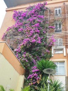 Албания — страна для галочки