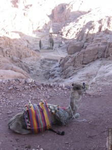 Синай. Гора Моисея