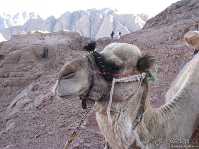 Синай. Гора Моисея