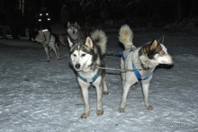 Экстремальные карельские забавы