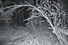 Экстремальные карельские забавы