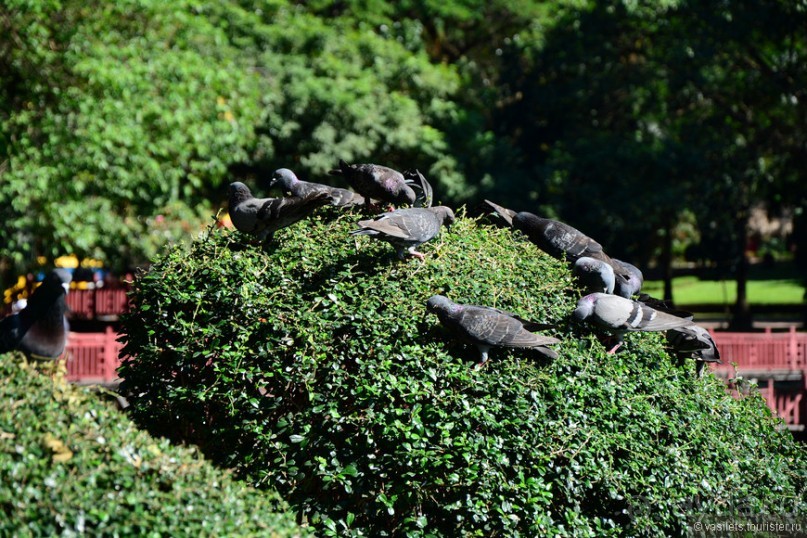 Сияет золотом Янгон