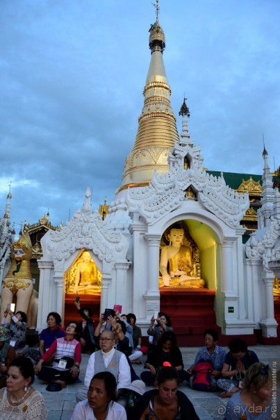 Альбом отзыва "Сияет золотом Янгон"