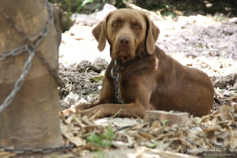 Туркиш.Кемер.Кириш