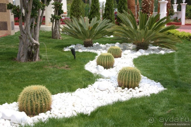 Туркиш.Кемер.Кириш