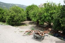 Туркиш.Кемер.Кириш