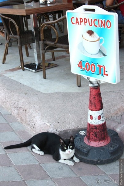 Туркиш.Кемер.Кириш