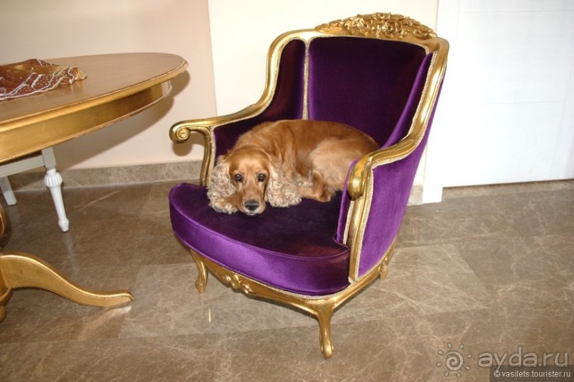 Туркиш.Кемер.Кириш