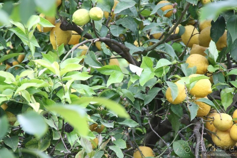 Туркиш.Кемер.Кириш