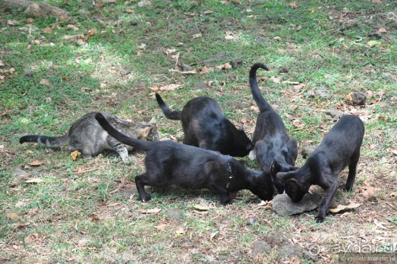 Загадочный о.Пасхи