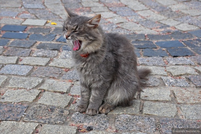 Загадочная церковь и странный недострой