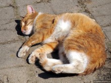 Поехали в Зарайск!