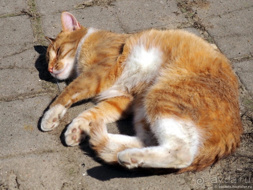Поехали в Зарайск!