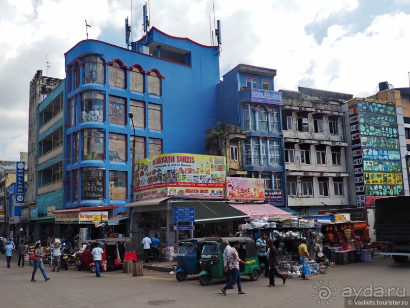 Контрастная Шри-Ланка