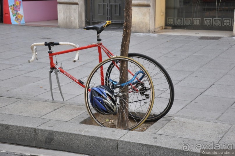 Таррагона новогодняя